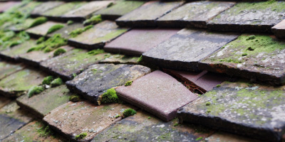 Astwick roof repair costs